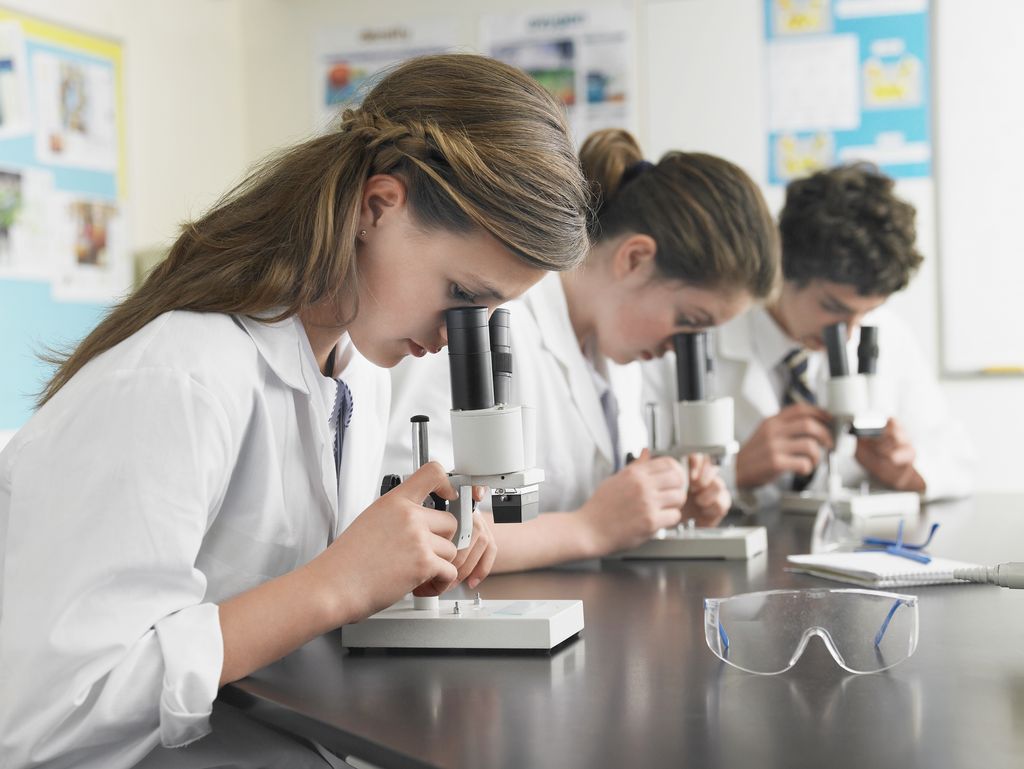 High School Students Using Microscopes
